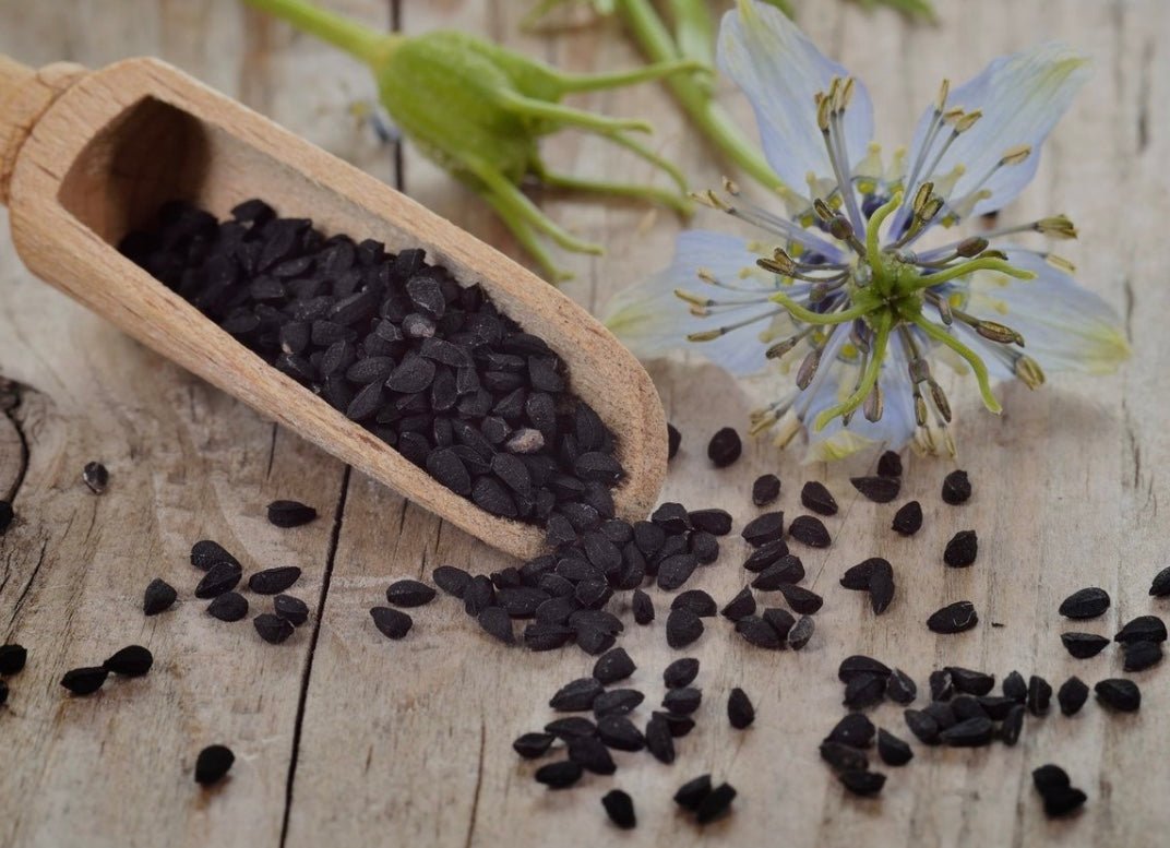 Les Merveilles de la Nigelle : Découvrez les Bienfaits de cette Petite Graine Miraculeuse - Natural Secret beauty